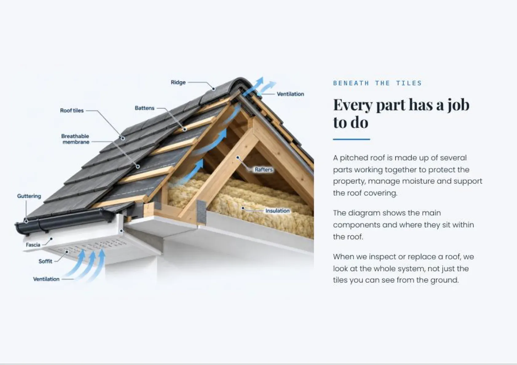 Company Brochure, page 7 of 22