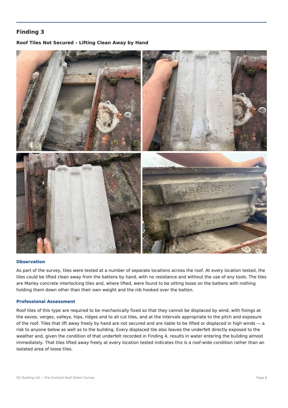 Survey finding with photographs and professional assessment