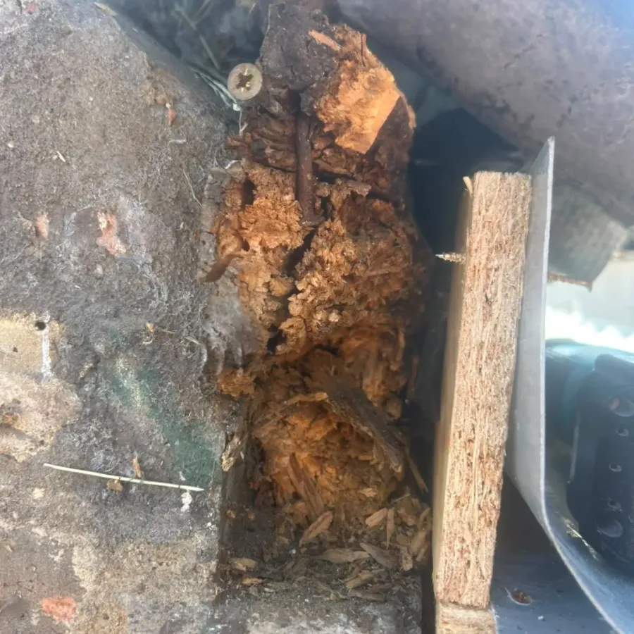 Rotten timber hidden beneath the new fascia